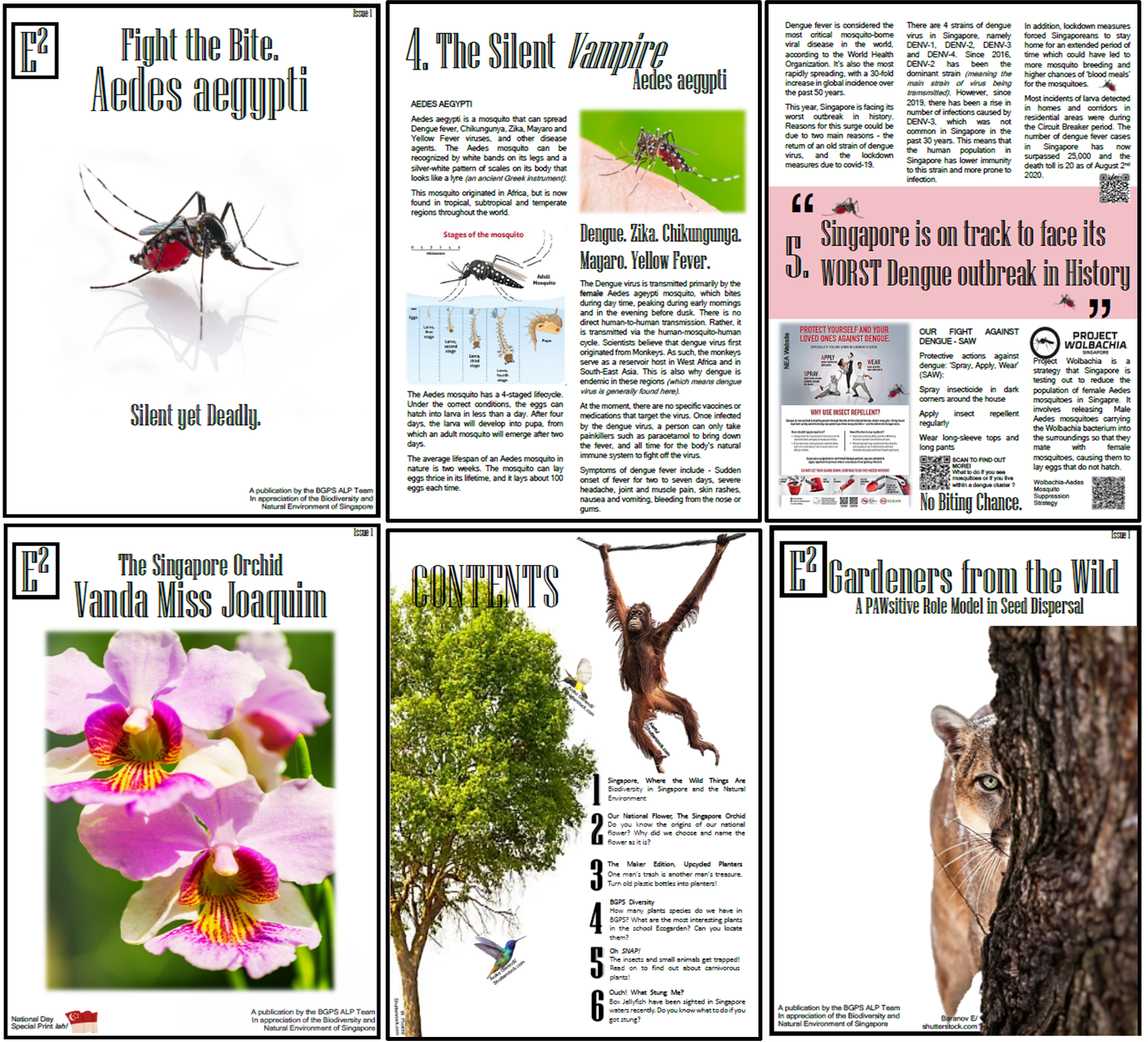 Six-page magazine spread with mosquito and dengue posters, orchid photo, contents page, and animal on tree.